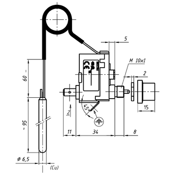 AFRISO Sicherheits-Temperaturbegrenzer STB LS1/971 F1 100C 1000mm BEF 76840 76850 76860 76870 76880