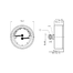 AFRISO Thermo-Manometer TM 80 20/120C 0/4bar G1/2B axial mit Ventil D111 BEF 16380