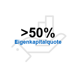 afr-img-afrisogruppe-icons_eigenkapital